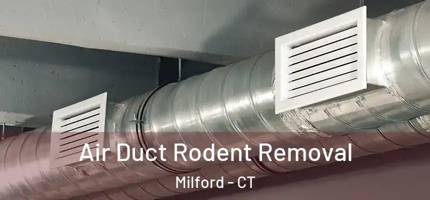  Air Duct Rodent Removal Milford - CT