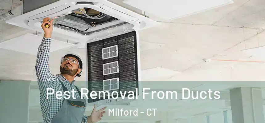 Pest Removal From Ducts Milford - CT