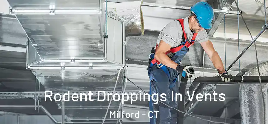  Rodent Droppings In Vents Milford - CT