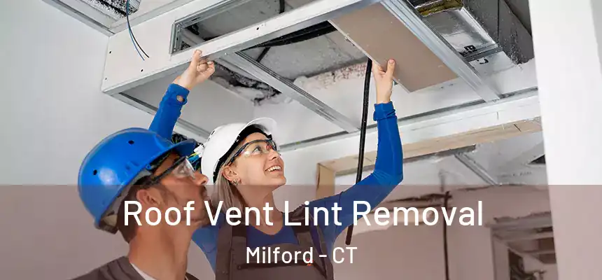  Roof Vent Lint Removal Milford - CT