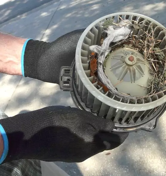 About Air Duct Rat Removal in Milford, CT