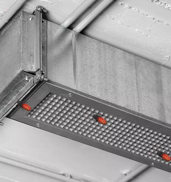 Affordable Insect Removal from Air Ducts in Milford, CT