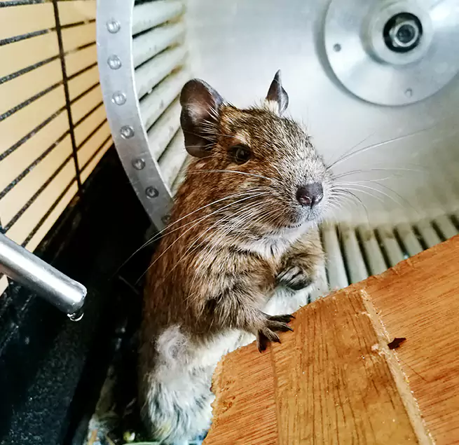 Why Homeowners & Businesses Trust Us Milford, CT